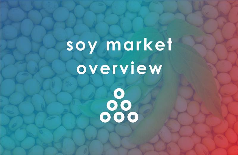 Soy Market Overview